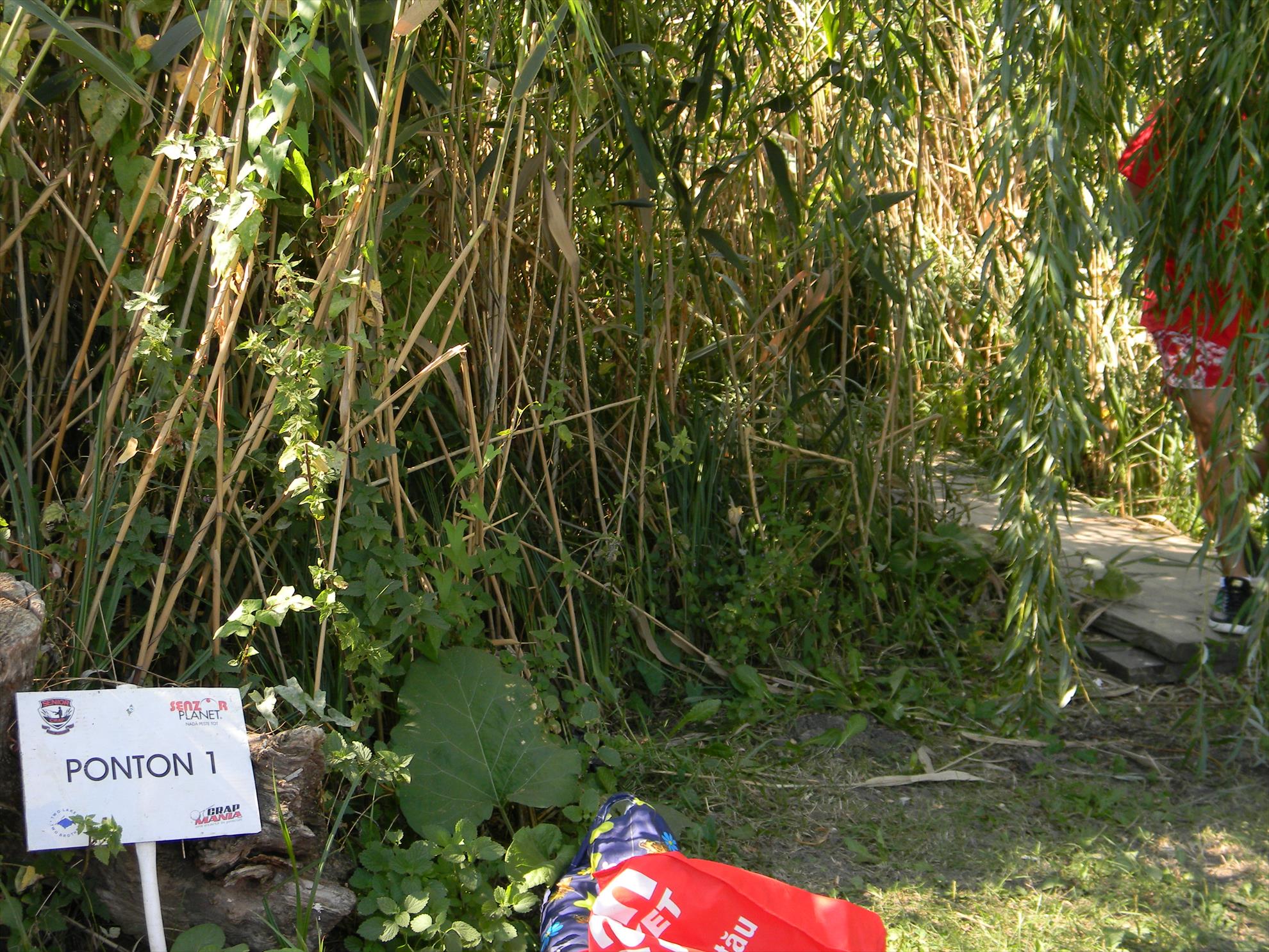 Debut mania 3-6 sep 2012 - dscn7297.JPG